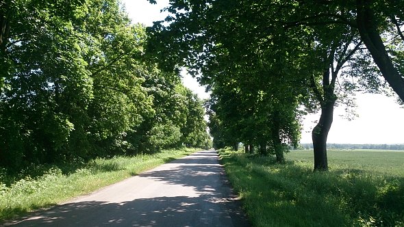 Trochę cienia