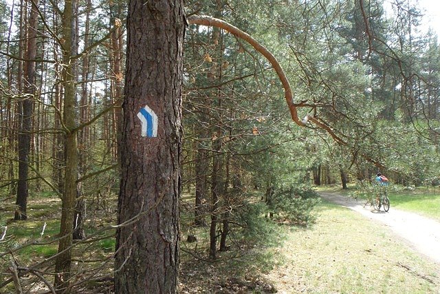 Na nieznanym mi szlaku w okolicach Osowej Góry