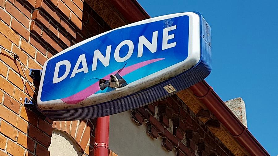 Gniazdko dla wróbelków