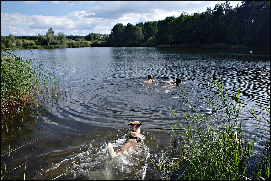 Kościerzyce