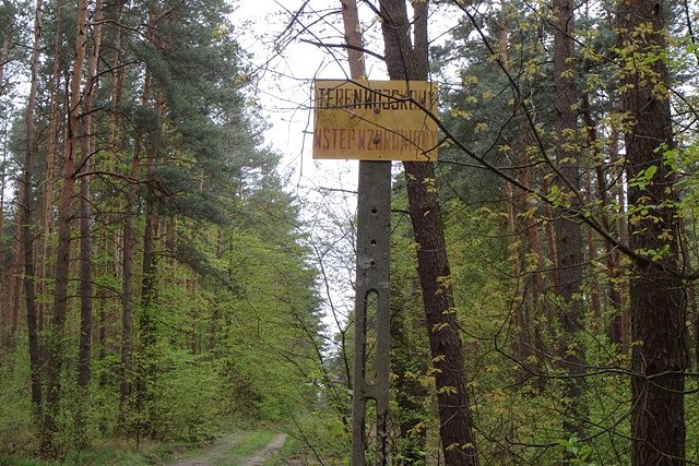 Chyba nieświadomie wkroczyłem do zakazanej strefy