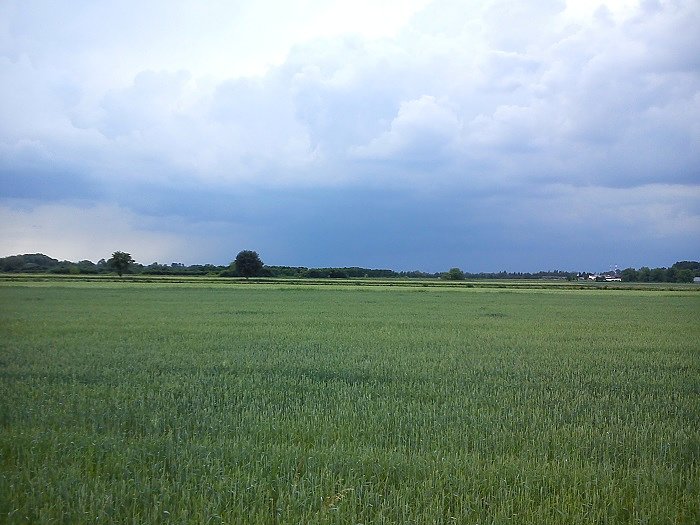 Burzowa chmura nadciąga znad Warszawy, druga po lewej nie ujęta w kadrze nadciągała od Nadarzyna