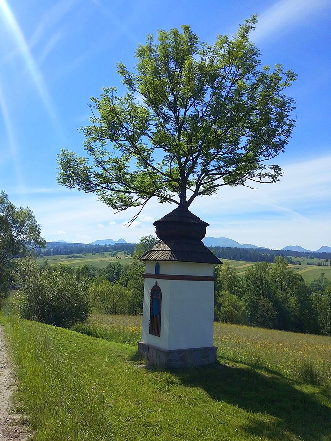 Sielski widoczek w Dzianiszu