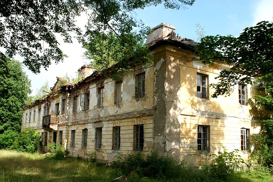 Ruiny na terenie Muzeum Zagłębia Staropolskiego w Sielpi