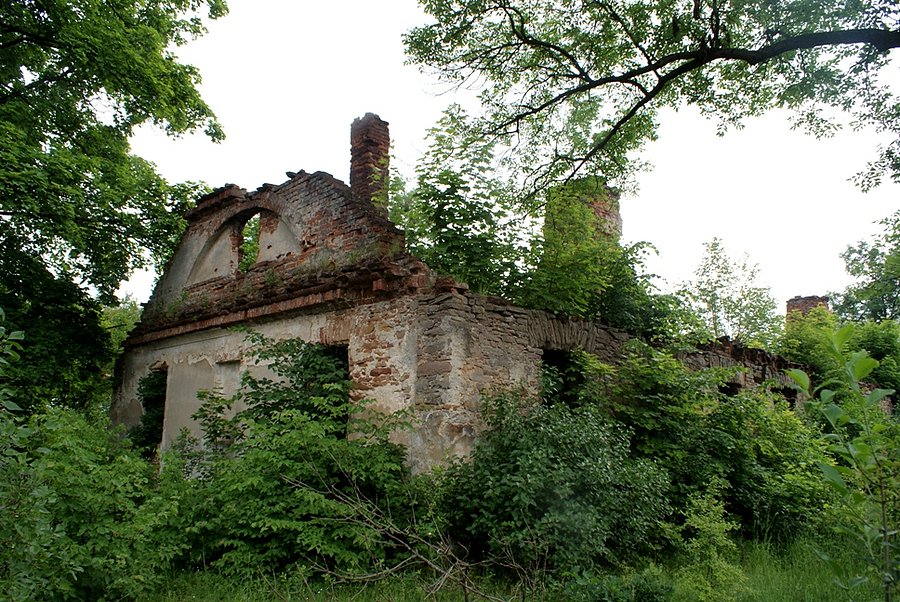 Ruiny na terenie Muzeum Zagłębia Staropolskiego w Sielpi