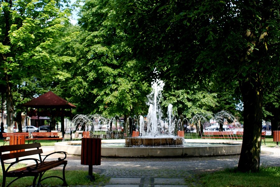 W centrum Radoszyc