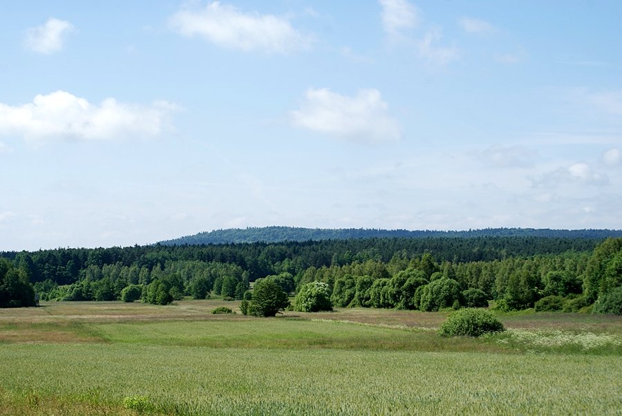 Świętokrzyskie widoki