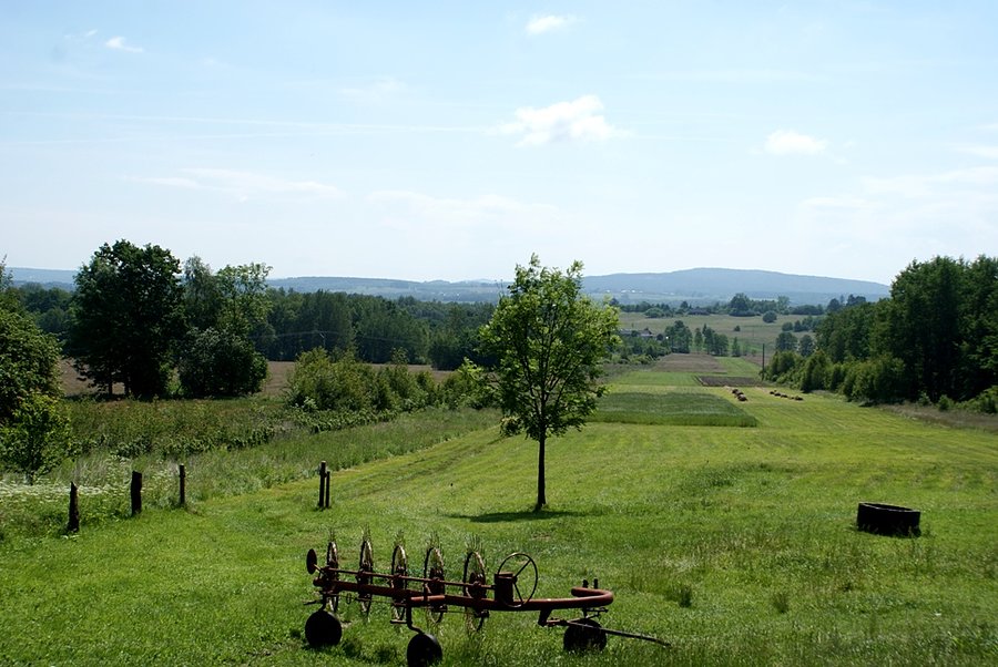 Góry są wszędzie - na Green Velo - świętokrzyskie