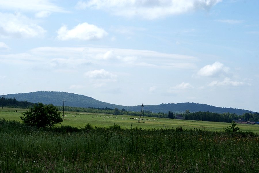 Przy MOR - Straszów - Green Velo - świętokrzyskie