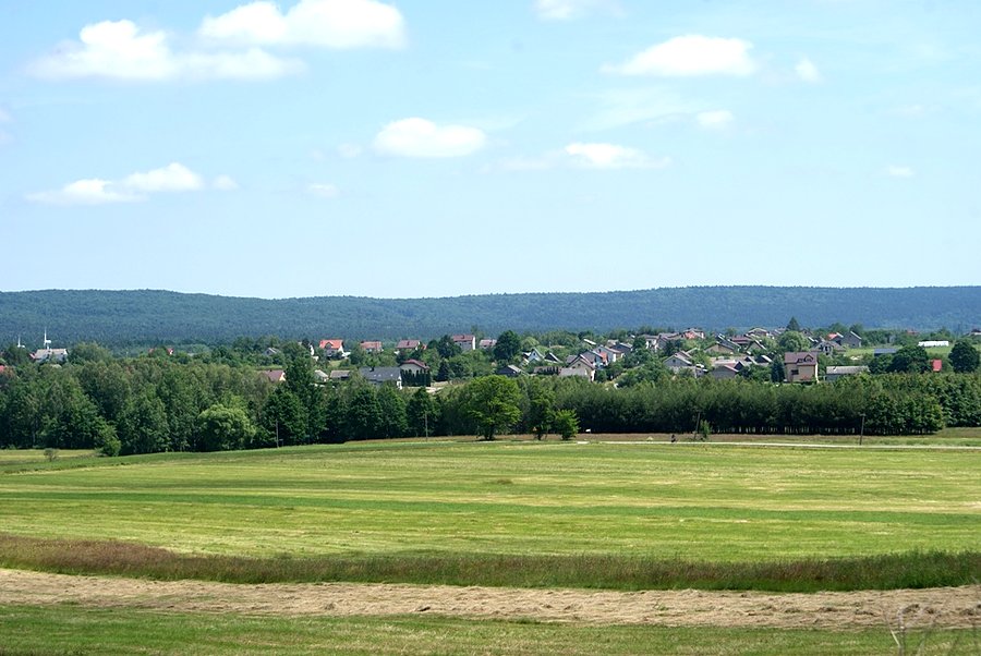 W okolicach Malmurzyna - Green Velo - świętokrzyskie