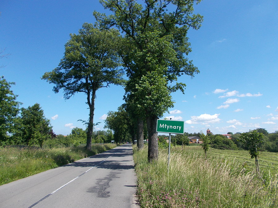 Młynary