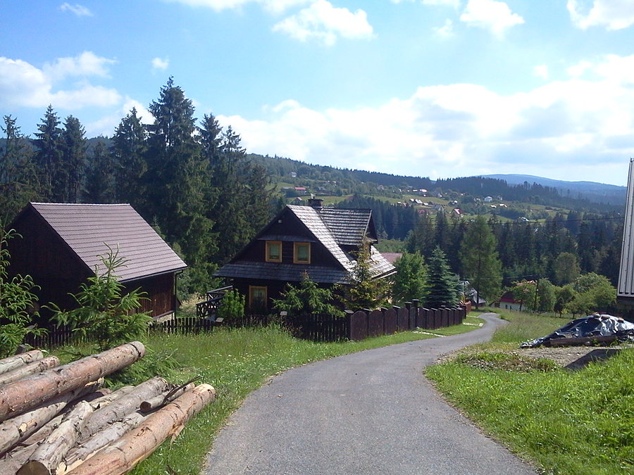 Wilcze
