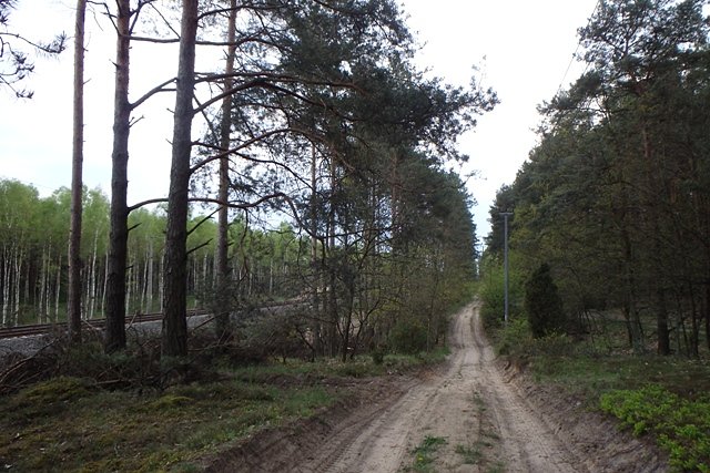 Piaszczystą ścieżką, wzdłuż linii kolejowej Emilianowo-Nowa Wieś Wielka