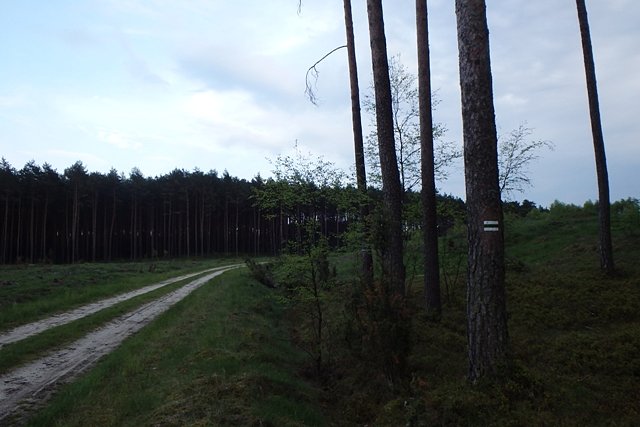 Pieszy szlak "Nowa Wieś Wielka-Chrośna"