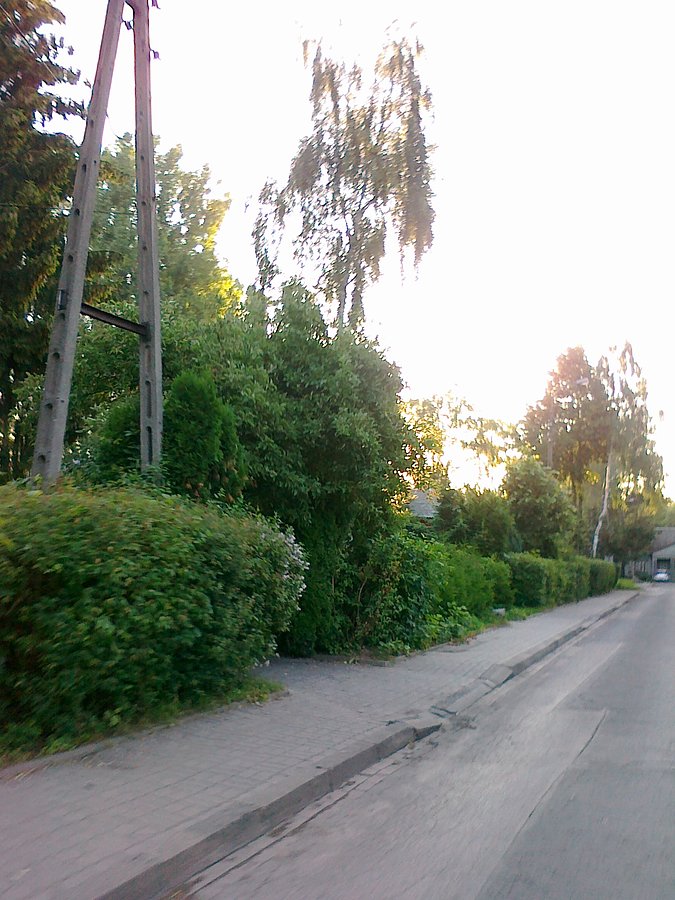 Niedawno wstało