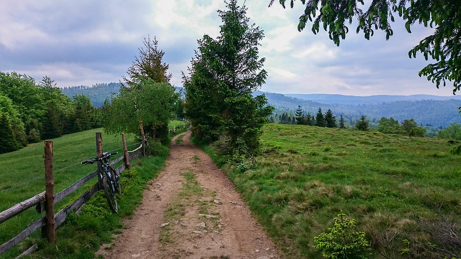 Czarny szlak do Brennej