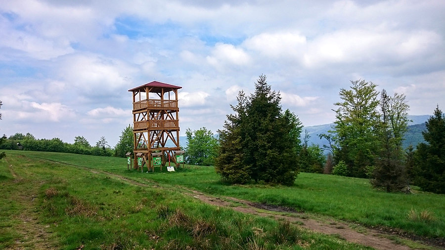 Platforma widokowa na Starym Groniu