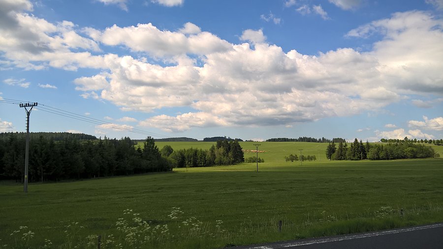 Widoczki