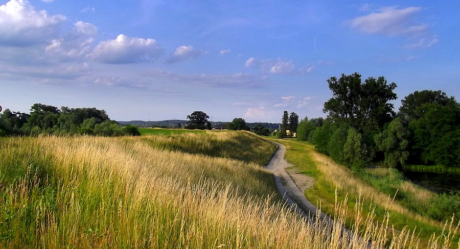 Na wałach Polderu Buków