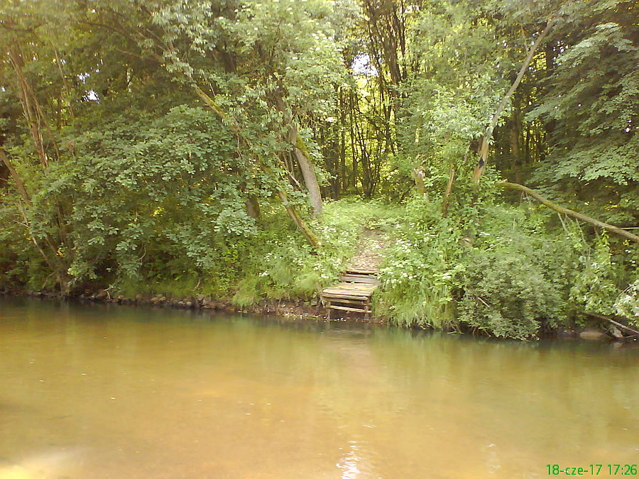 Zapomniany zakątek w lesie, nad Kwisą