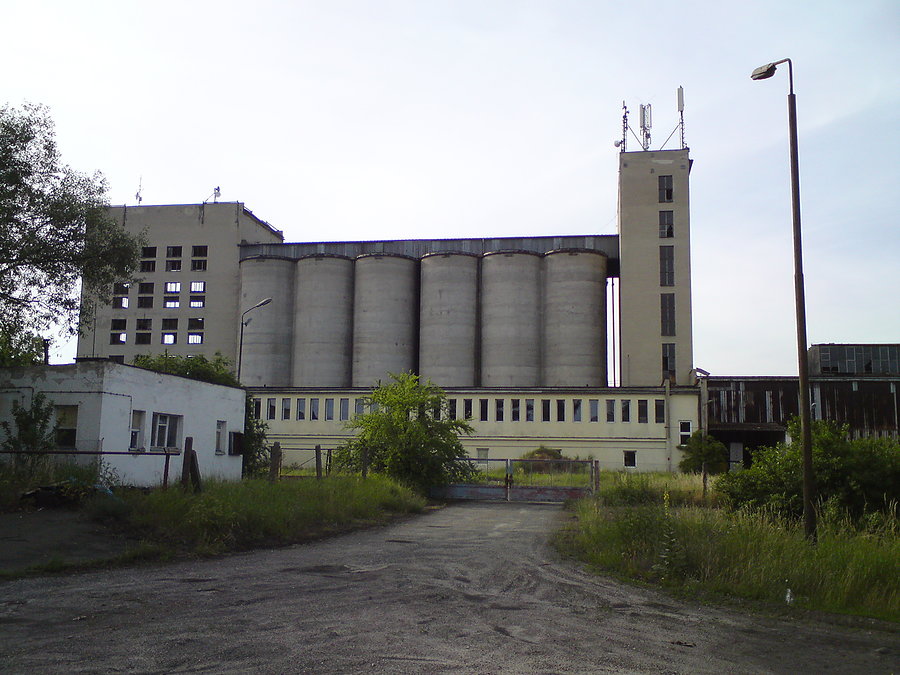 W Karłowicach