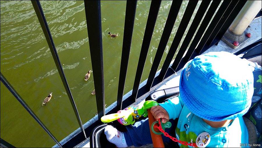 Karmimy kaczuchy :D