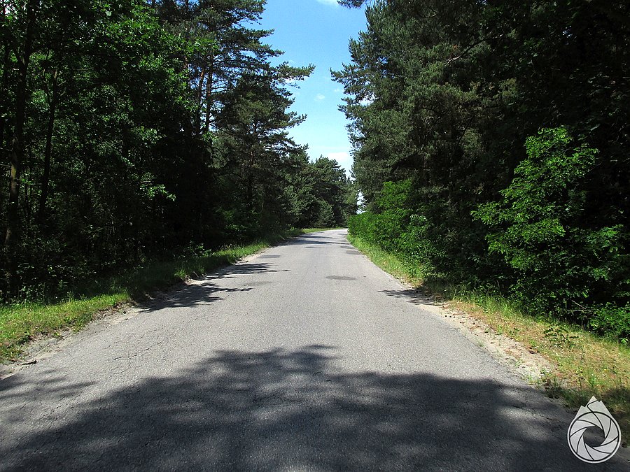 Przyjemne leśne szosy do Nowego Miasta