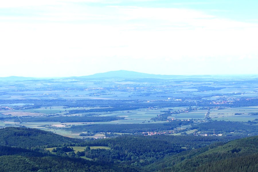 Widoczek IV