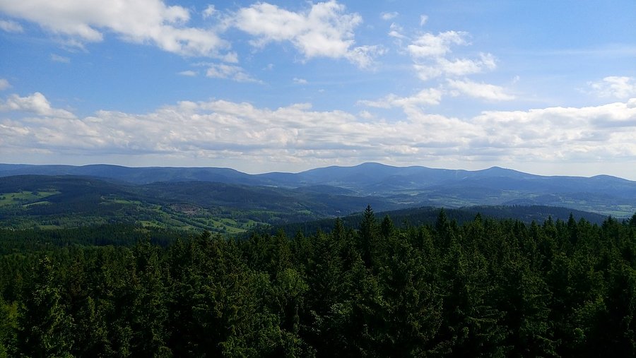 Widoczek I