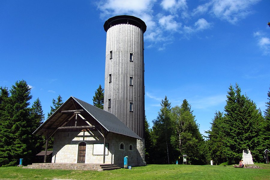 Borówkowa