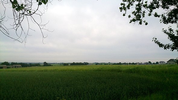 Pochmurny poranek