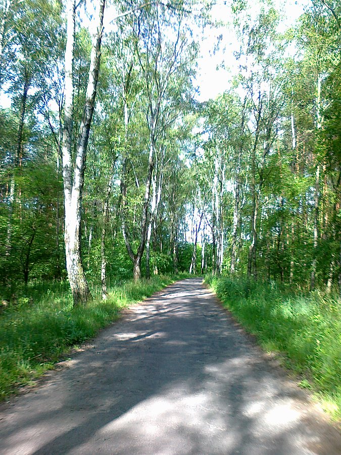 Są tu rózne ciekawe miejsca