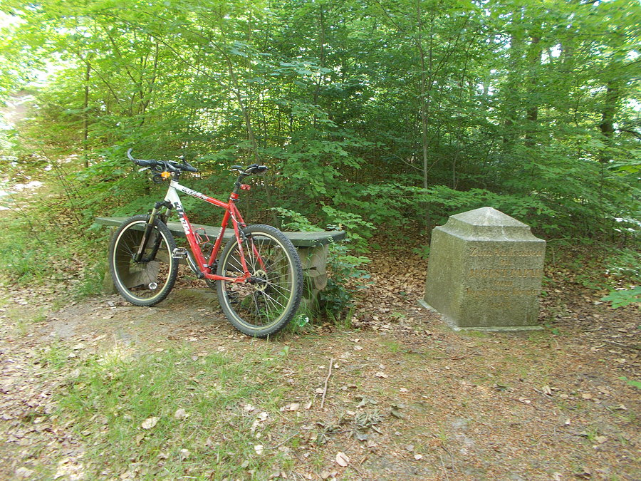 Obelisk Augusta Papau