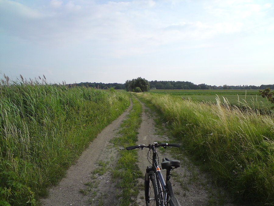 Na polniakach