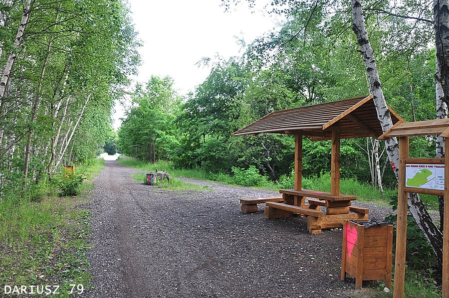 Sosnowiec - Park Tysiąclecia