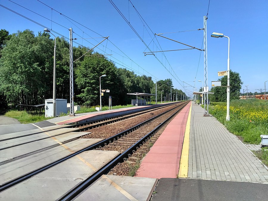 Intryguje mnie po co ta stacja, dookoła las