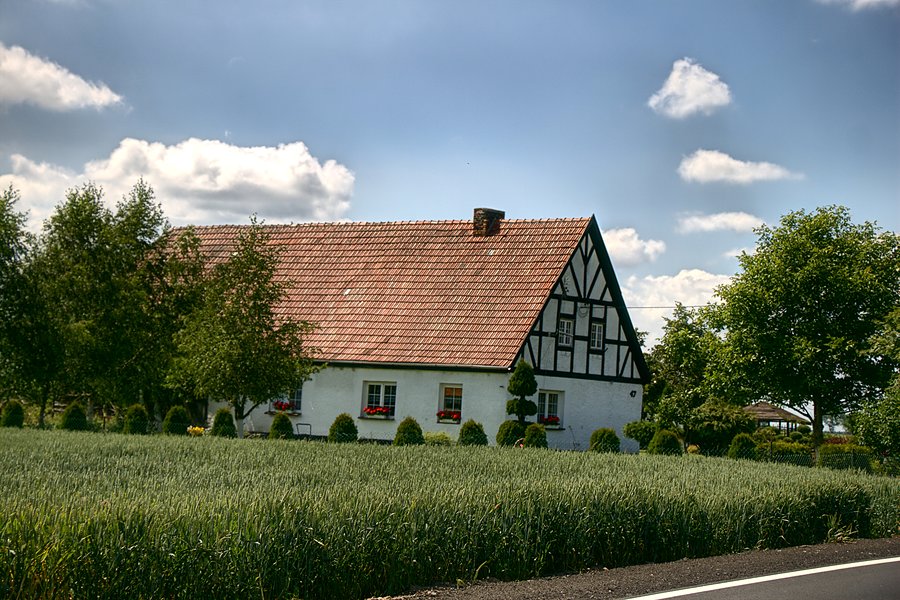 Docieram do Kolina