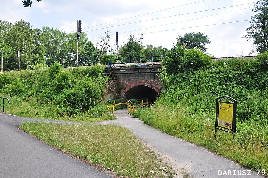 Kobiór - Tunel nad linią kolejową