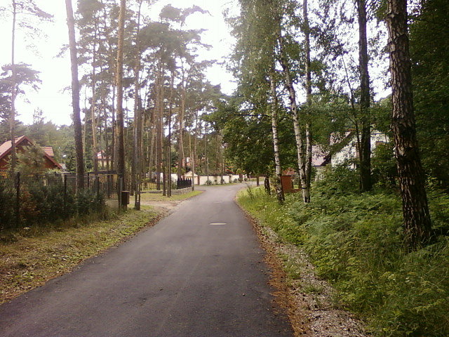 Ul. Cedrowa w Rąbieniu