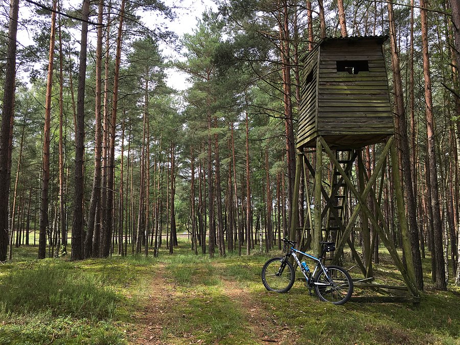 Ambona myśliwska w okolicy Białego Mostu