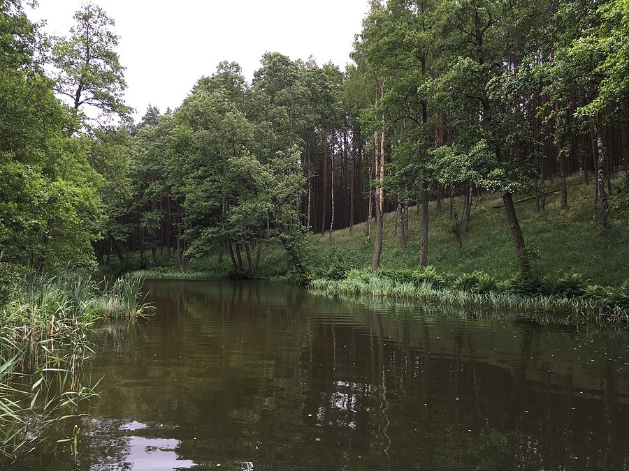 Miała i widok w kierunku Jeziora Małego