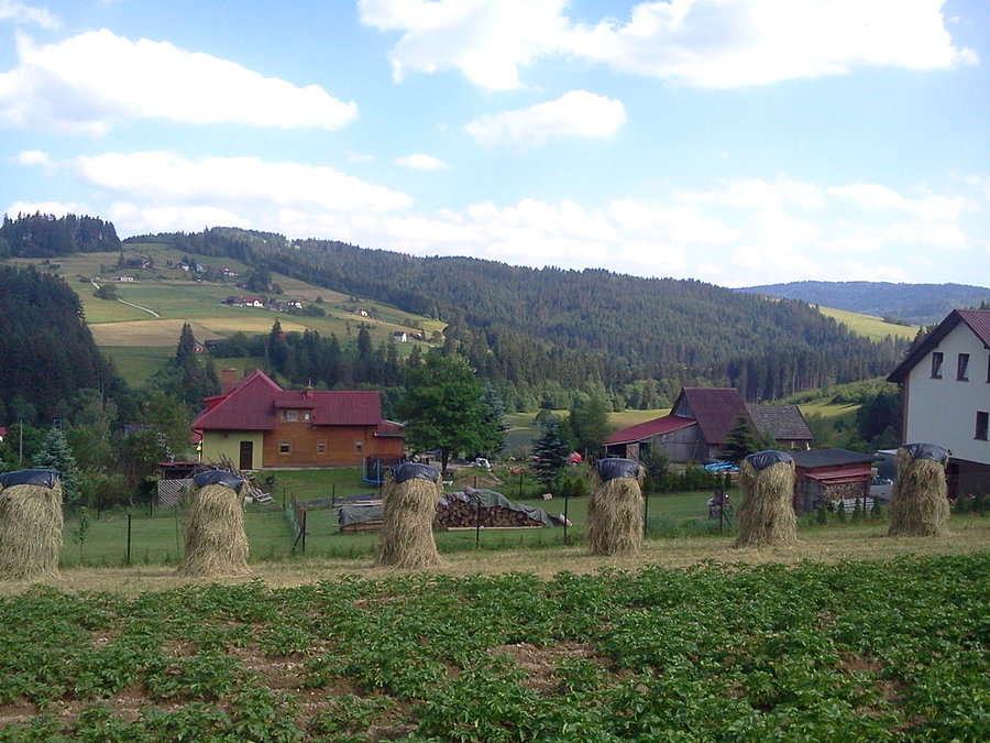 Widoczek z podjazdu