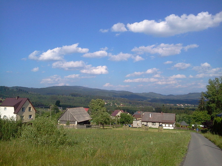 Wilcze