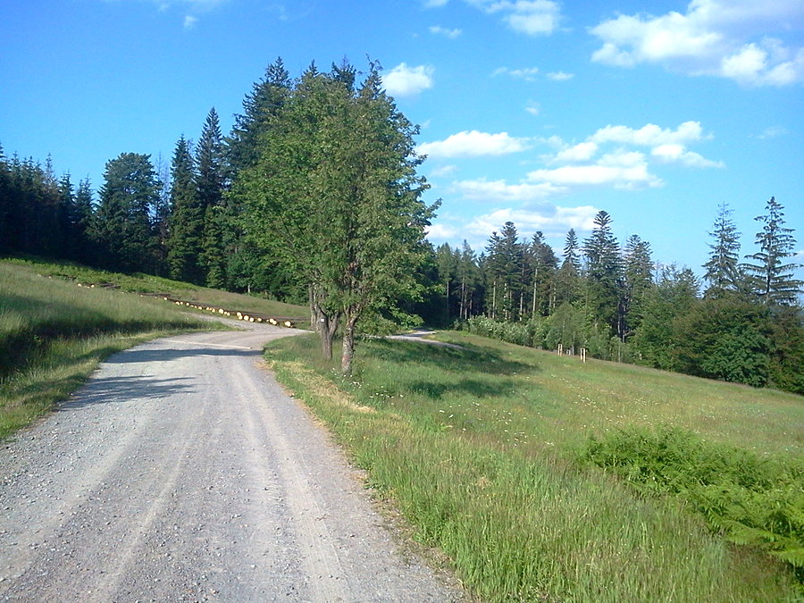 Trawers Mrózkowa