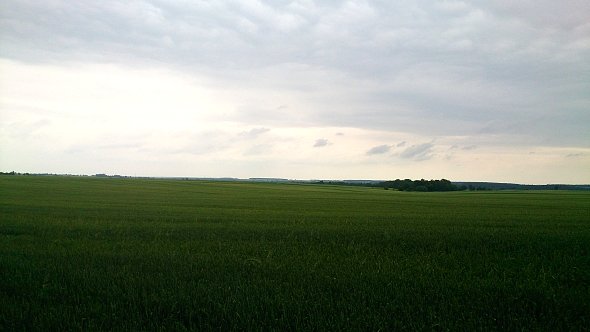 Ciemne chmury nad polami
