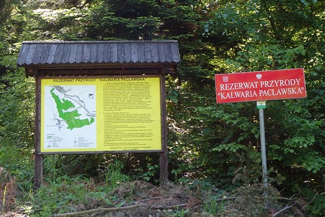 Kalwaria Pacławska to też rezerwat przyrody