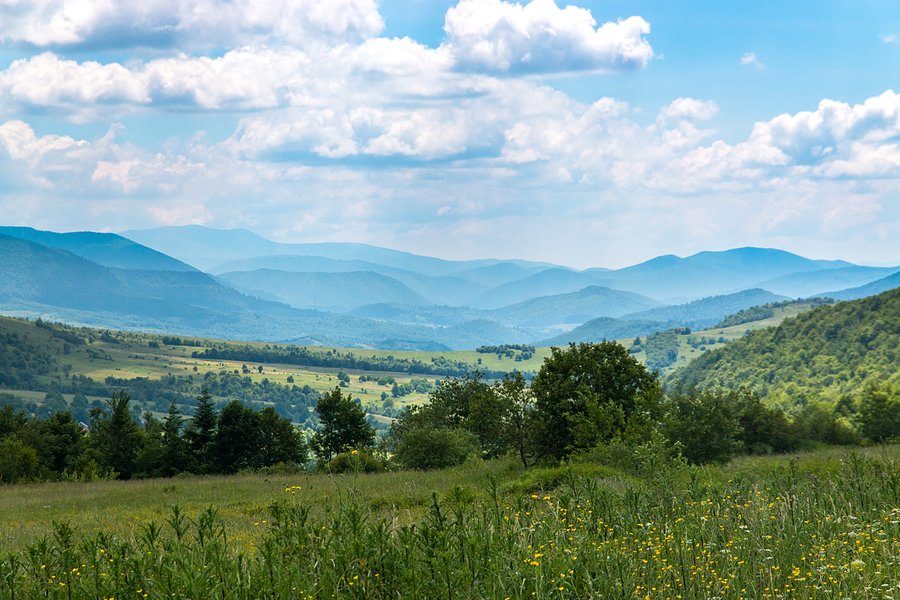 Karpaty