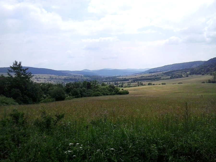 Dolina Mszany