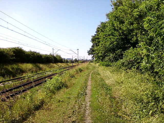Wzdłuż torów do Pabianic