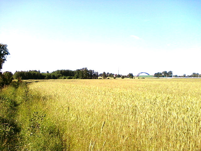 Okolicwe Szynkielewa